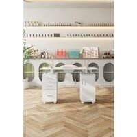 Professional Mobile Manicure Table Nail Desk with Dust Collector