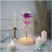 https://www.burton.co.uk/product/living-and-home-eternal-rose-flower-in-glass-dome-with-wooden-base-led-lighting-for-gift_p-84894cab-5776-49ba-8f23-d1814070247d£colour=Purple&size=One%20Size