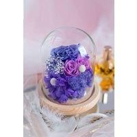 https://www.burton.co.uk/product/living-and-home-12cm-w-x-20cm-h-u-shaped-glass-cover_p-ee3da7f7-3db3-4dc7-ae56-6fa6222c1f1f£colour=Clear&size=One%20Size