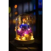 https://www.burton.co.uk/product/living-and-home-12cm-w-x-20cm-h-u-shaped-glass-cover-with-warm-light_p-1838422d-51b3-4d99-a97a-c46e25b9ead2£colour=Clear&size=One%20Size