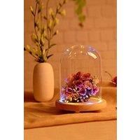https://www.burton.co.uk/product/living-and-home-9cm-w-x-15cm-h-u-shaped-glass-cover-with-colored-light_p-d30b5edc-2ba8-46eb-81d2-5453d8f28fa5£colour=Clear&size=One%20Size