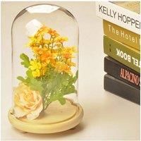 https://www.burton.co.uk/product/living-and-home-9cm-w-x-25cm-h-u-shaped-glass-cover_p-4cc350f2-4a9d-427e-8e45-139d7978b1f5£colour=Clear&size=One%20Size