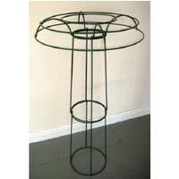 Poppy Forge Medium Tuteur Plant Support