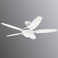 Hunter Contempo - ceiling fan with light