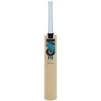 Gm Diamond 101 Kashmir Willow Cricket Bat