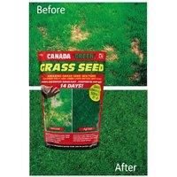 Canada Green 3604 Grass Seed, 1kg