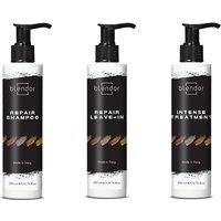 Blendor Intense Repair Hair Treatment With Hyaluronic Acid & Collagen - For All Hair Types, Colour Safe, Anti-Frizz
