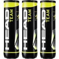 HEAD Team Tennis Balls - 1 Dozen