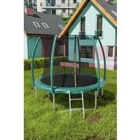 10FT Outdoor Enclosure Trampoline with Ladder