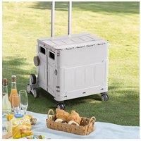 50L Folding Shopping Vehicle Rolling Storage Crate