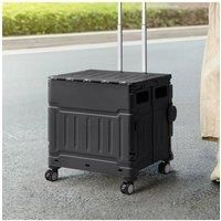 Plastic Shopping Camping Trolley Foldable Storage Cart