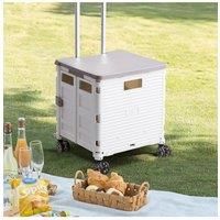 White Foldable Storage Cart Portable Flat Rolling Crate