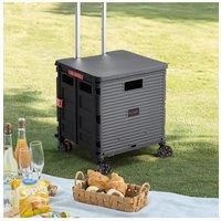Collapsible Shopping Vehicle Rolling Storage Crate with Adjustable Handle