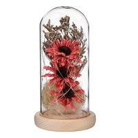 https://www.burton.co.uk/product/living-and-home-desktop-artificial-flower-decorative-ornaments-with-glass-cover-and-led-light_p-a8134b80-95a8-4b60-8503-9d0e73a5113e£colour=Pink&size=One%20Size