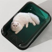 https://www.burton.co.uk/product/living-and-home-light-luxury-retro-green-semi-enclosed-cat-litter-box_p-5d39db3d-dcec-4e63-aaf1-e532da586faf£colour=Green&size=One%20Size