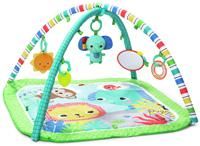 Bright Starts Wild Wiggles Baby Activity Gym & Play Mat with Taggies, Newborn and up - Green, 18.5x29.1x29.1 Inch