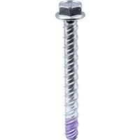 DeWalt Hex Head Blue-Tip Concrete Screwbolt M10 x 100mm (25 Pack) in Silver