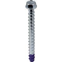 DeWalt Hex Head Blue-Tip Concrete Screwbolt M6 x 80mm (50 Pack) in Silver