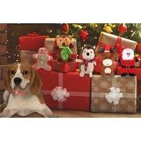 Dogs' Squeaky Chew Toy - 5 Christmassy Designs