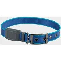 Nitedog LED Rechargeable Collar Blue Large, Blue
