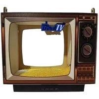 Tv-Shaped Hanging Wooden Bird Feeder