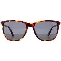 Police SPLD45 Sunglasses, Avana Media LUCIDA, 56