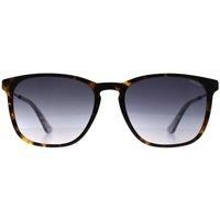 Square Dark Havana Silver Grey Gradient SPLD47 Code 4