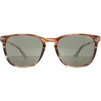 Police SPLD47 Sunglasses, Marrone STRIATO LUCIDO, 55