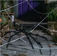 Argos Home Halloween Large Outdoor Web & Spider Decoration