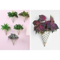 Hanging Wall Flower Basket - 2 Colours! - Brown