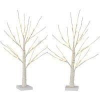 Set of 2 LED Pre-Lit Birch Twig Tree Lamps with Battery Power, 60cm