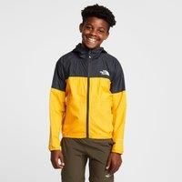 The North Face Kids' Windwall Hoodie, Yellow
