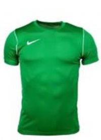 NIKE Boy/'s Y Nk Dry Park20 Crew Top Sweatshirt, Pine Green/White/White, XS UK