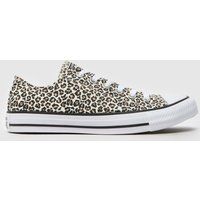 Converse All Star Ox  in Print