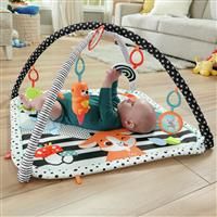 Fisher-Price 3-in-1 Music, Glow and Grow Gym Activity Play Mat