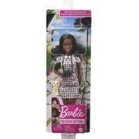 Barbie HCN10 Dolls, Multicolour