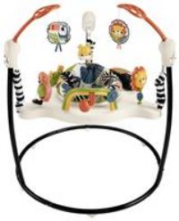 Fisher-Price Palm Paradise Jumperoo Baby Activity Centre
