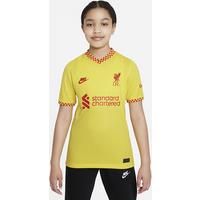 Nike - liverpool 2021/22 Season Jersey Other Game Equipment, XL, Unisex