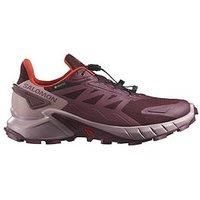 Salomon Women'S Trail Running Supercross 4 Gore-Tex Trainers - Purple