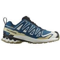 Salomon Men'S Trail Running Xa Pro 3D V9 Gore-Tex Trainers - Blue