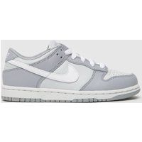 Nike grey dunk low Junior trainers
