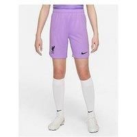 Nike Liverpool F.C. 2022/23 Stadium Goalkeeper Older Kids' Nike Dri-Fit Football Shorts - Lilac/Black