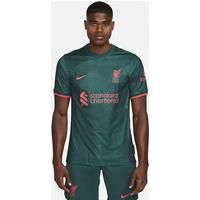 Liverpool F.C. 2022/23 Stadium Third Men's Nike Dri-FIT Football Shirt - Green