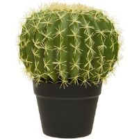 The Seasonal Aisle 30Cm Artificial Cactus Plant in Pot 30cm H X 25cm W X 25cm D
