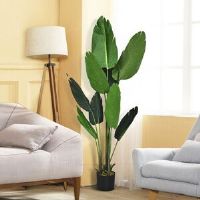 The Seasonal Aisle Artificial Banana Leaf Tree in Planter 160cm H x 30cm W x 30cm D