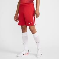 Poland 2024/25 Stadium Home/Away Men's Nike Dri-FIT Football Replica Shorts - Red - Polyester