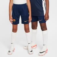 Nike FC Barcelona Unisex Children/'s Dri-Fit Shorts Stadium Home
