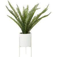 Brayden Studio 30cm Artificial Fern Plant in Pot 56cm H X 12cm W X 12cm D