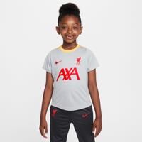Nike Unisex Children/'s LFC Lk Nk Df Acdpr SS Top K 3r Shirt