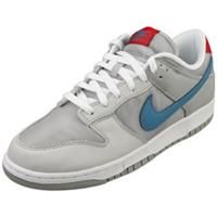 Nike Dunk Low Qs Mens Fashion Trainers in Silver - 9.5 UK